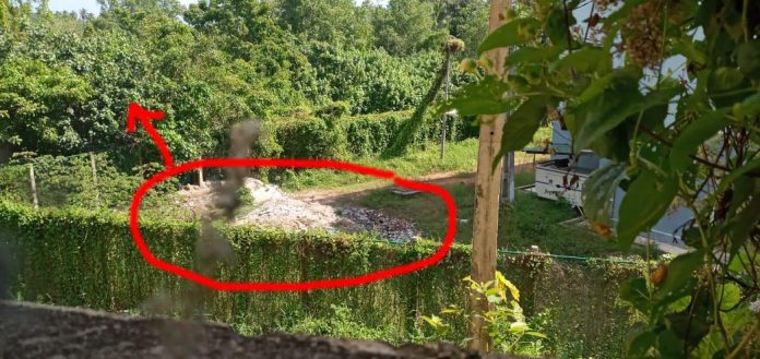 WhatsApp-Image-2020-11-28-at-11.50.35-AM-1