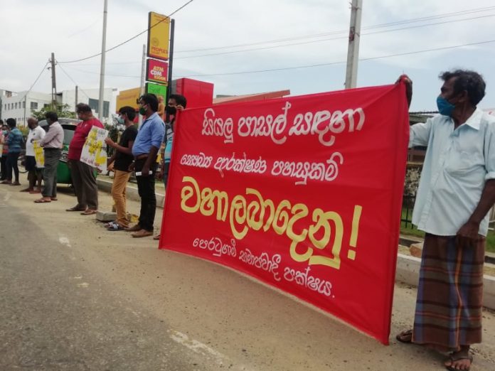 128717113_1799626826845056_7909320759858429081_n