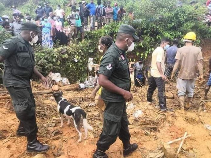 189725037_294923959005879_5683718036724916548_n