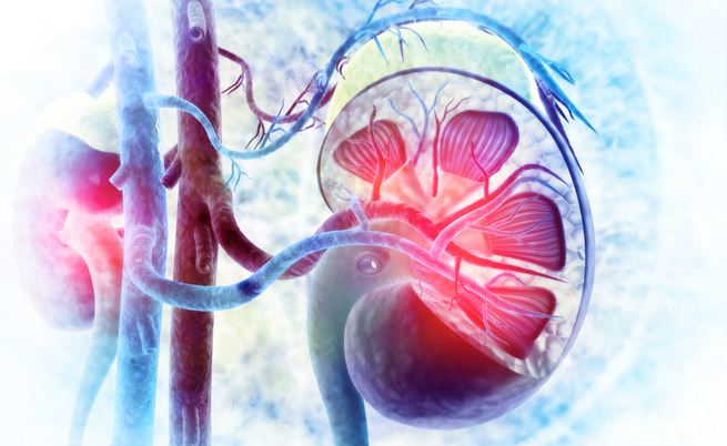 glomuronefrite-e-diabete1