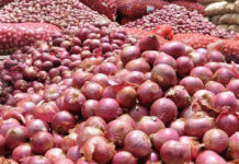 පිටරටින් ලොකු ළූනු ගෙන්වා ගොවීන් අමාරුවේ