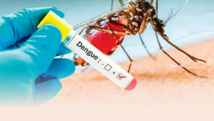 Dengue