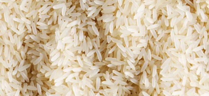 rice-2-825x380
