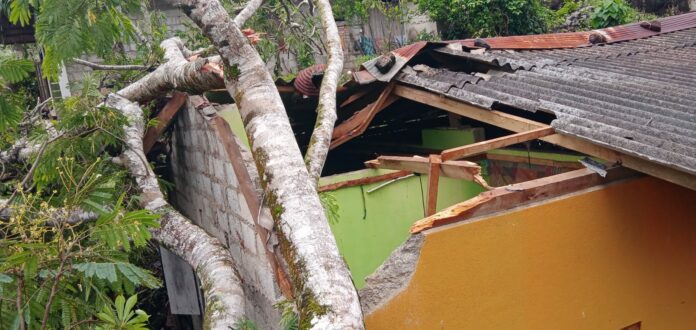 WhatsApp Image 2023-03-01 at 3.24.56 PM