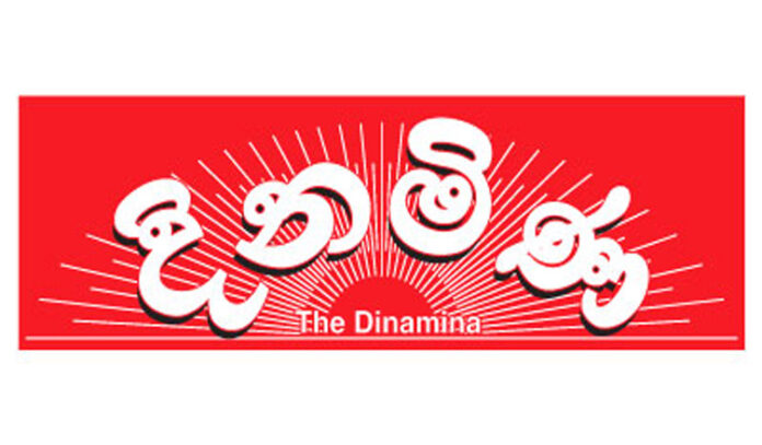 Dinamina