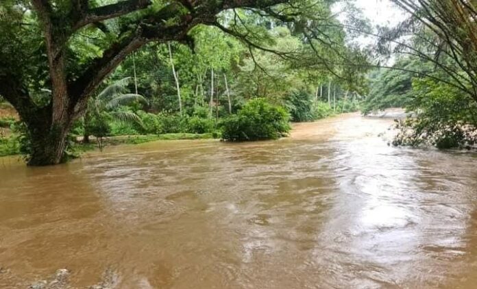 346782598_1276084643088796_8576693412571179760_n