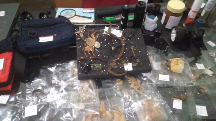 WhatsApp Image 2023-06-29 at 16.14.59