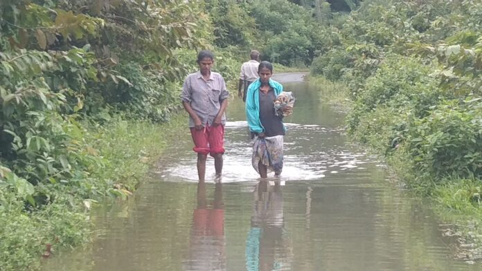 368819398_2303168969891825_8129850328940774396_n