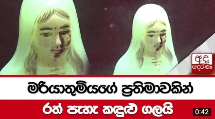 377456254_6901714229879549_5424794791151073360_n