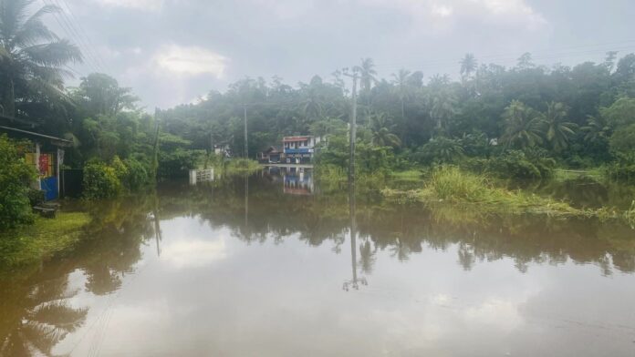 384198055_705887744918615_338870050982310844_n