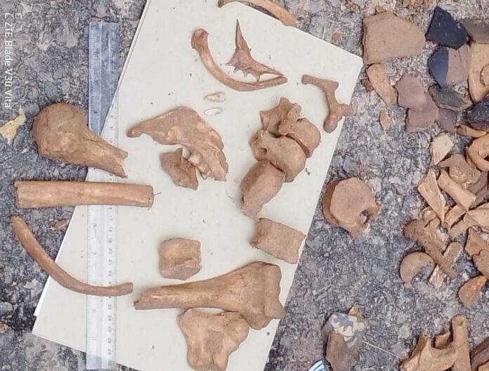 406990313_122109592874131003_4898882528468999116_n