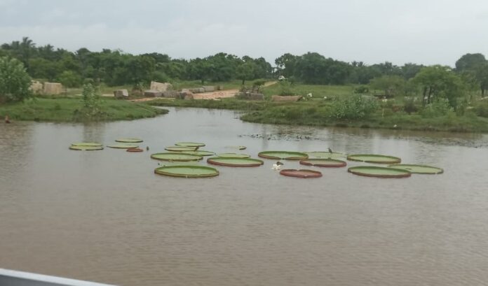 WhatsApp Image 2024-01-01 at 20.33.47_ebe37edc