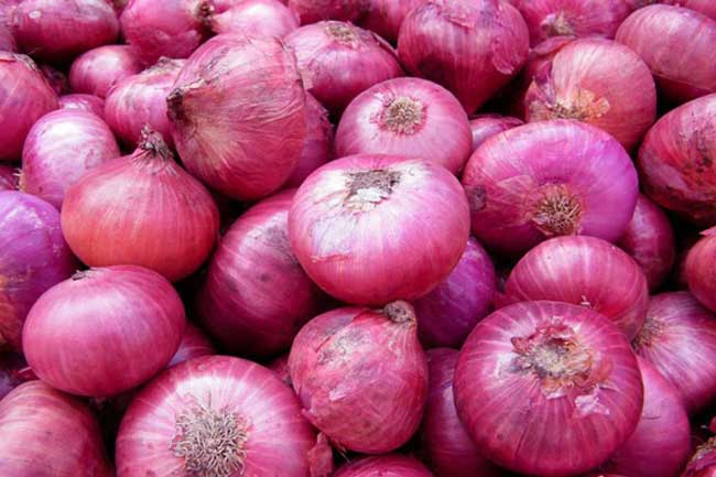Onion