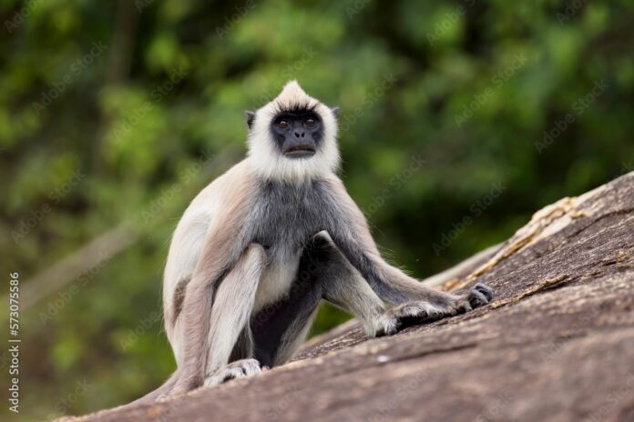 1000_F_573075586_mVT3xgSKWvp2B9ASsUHVuInEkSqkOUUI