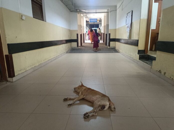 WhatsApp Image 2025-05-11 at 09.24.11_2af40c68